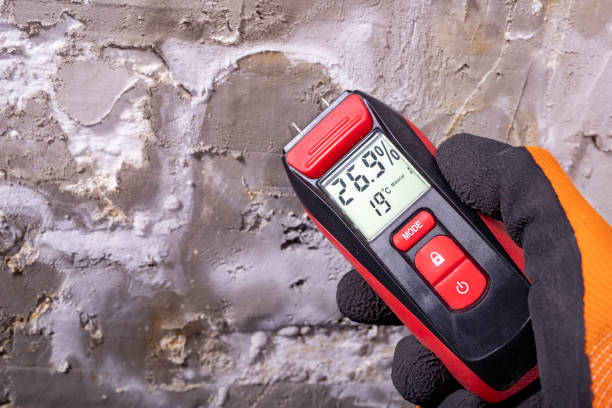 Crawl Space Mold Removal in Woodmere, LA