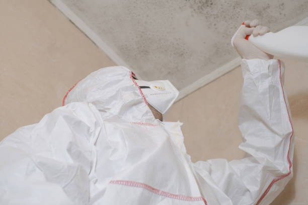 Best Mold Testing  in Woodmere, LA